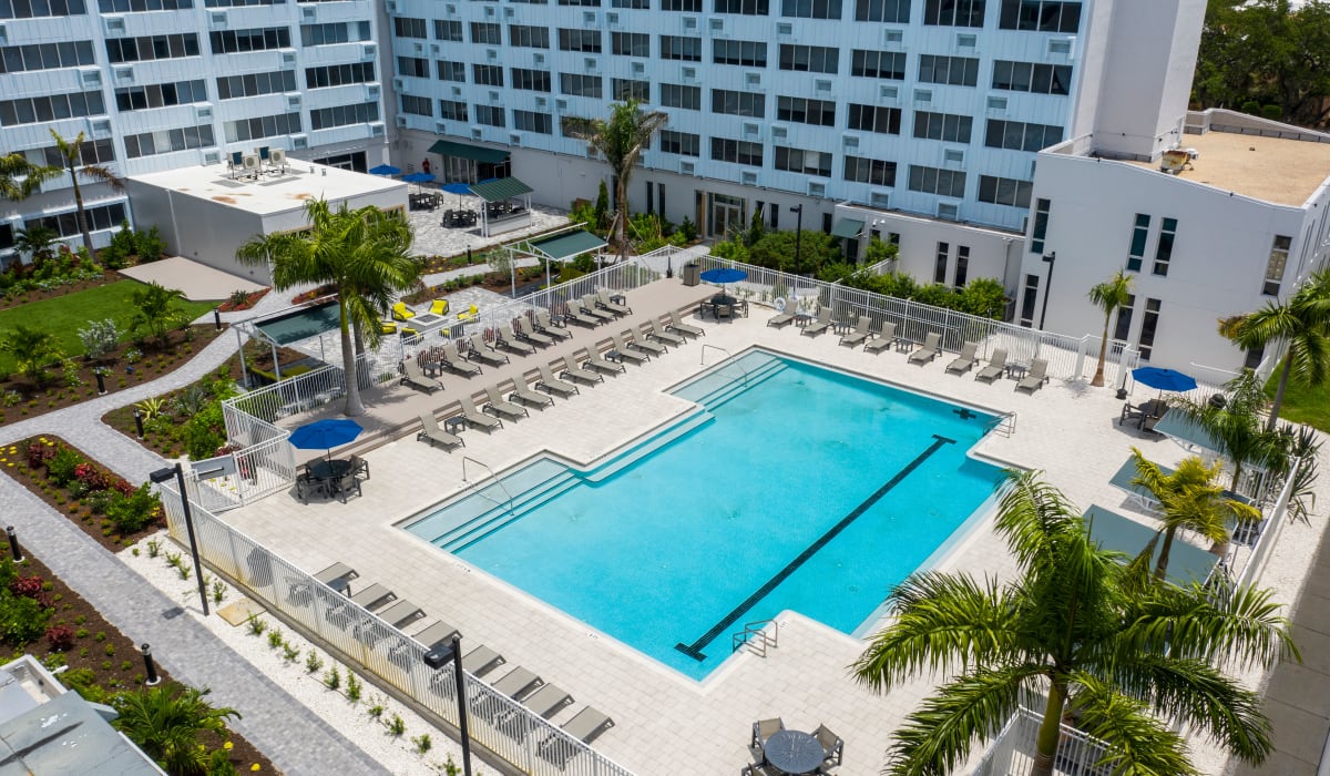 Relaxing swimming pool at The Wayland in St Petersburg, Florida