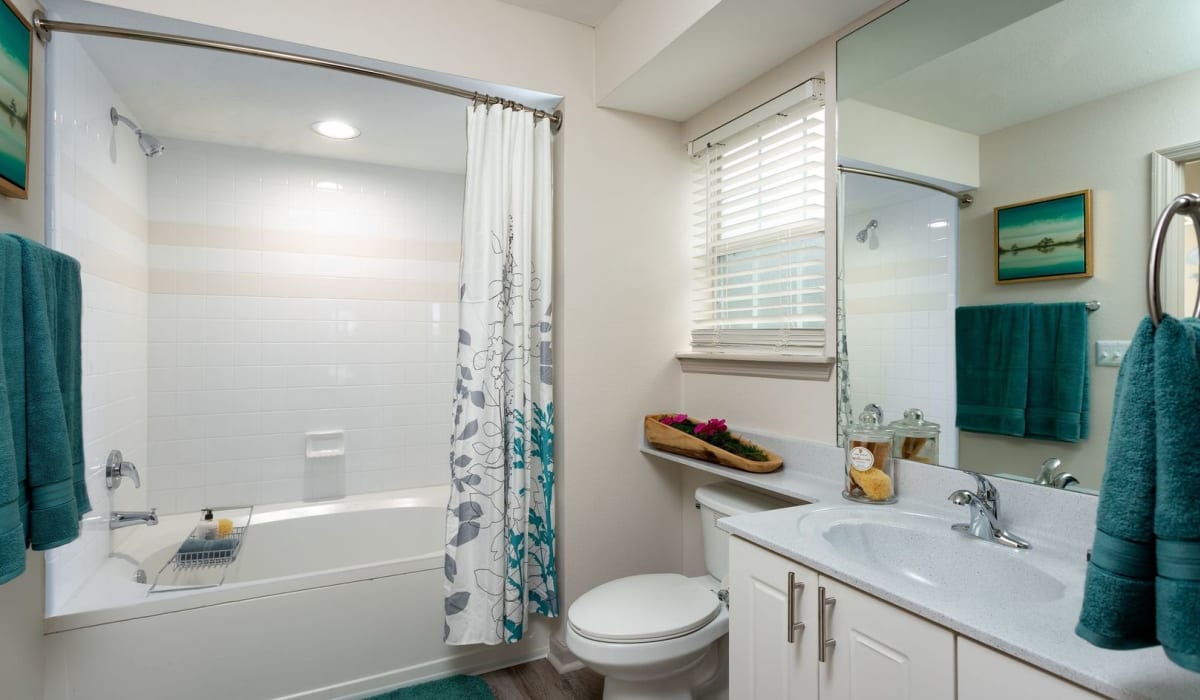 Bathroom with shower and tub at Evergreen Commons in Union City, Georgia