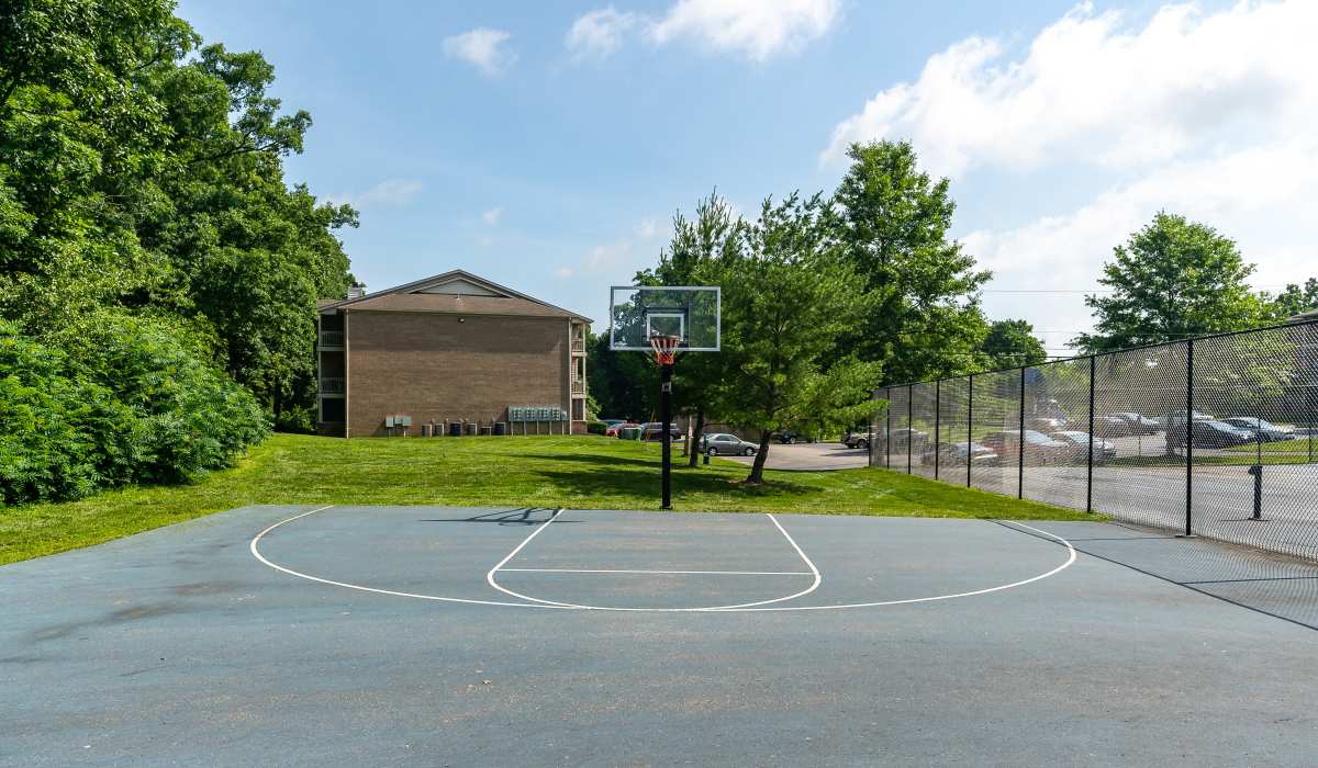 Basketball court surrounded by greenery at Burlington Oaks in Burlington, Kentucky
