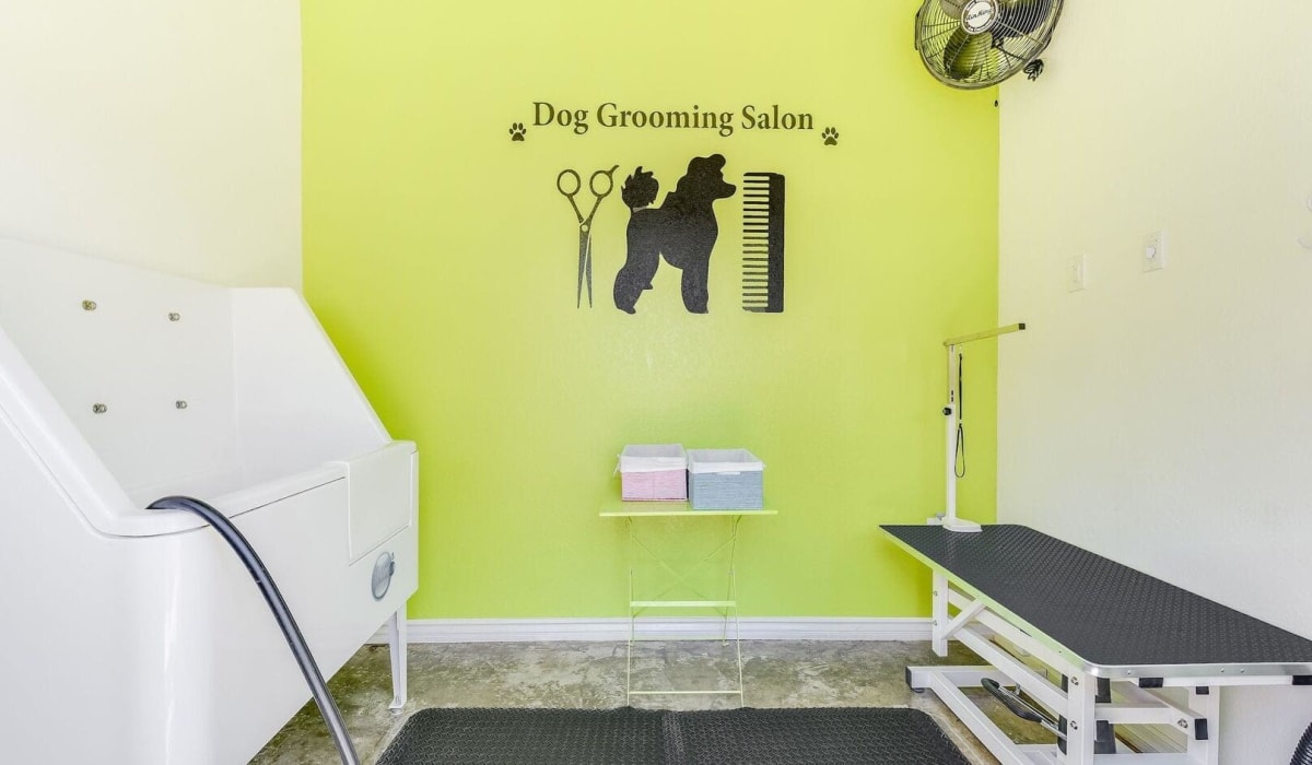 Dog grooming salon at Torrey Pines Apartment Homes in West Covina, California
