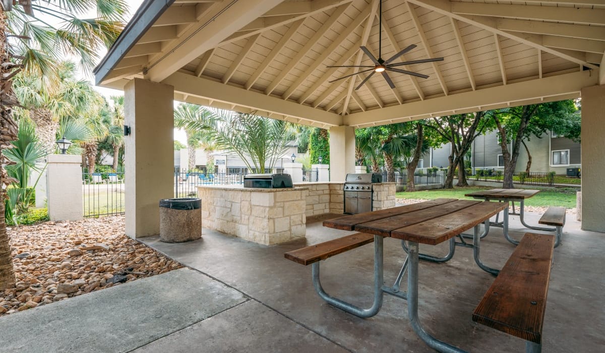 Outdoor picnic area at Park Vista Apartments in San Antonio, Texas