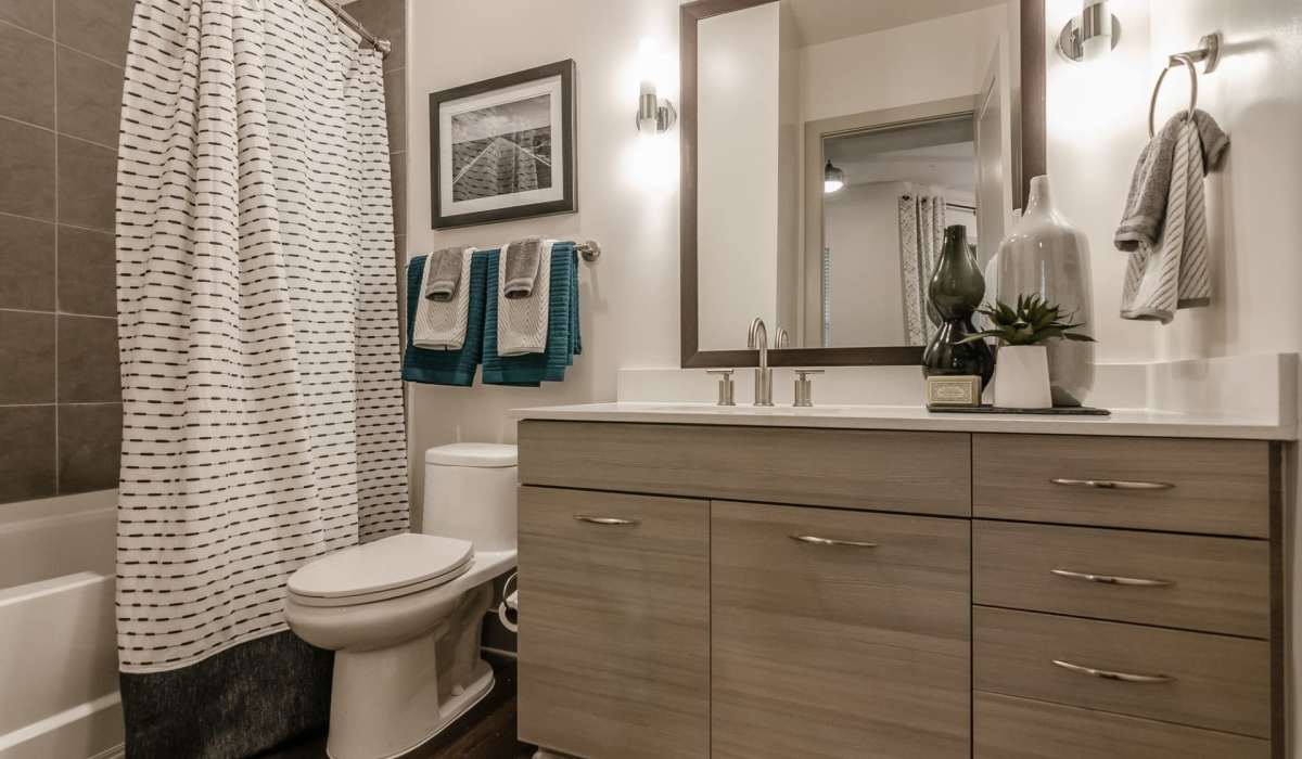 Modern Bathroom The Shay in Nashville, Tennessee