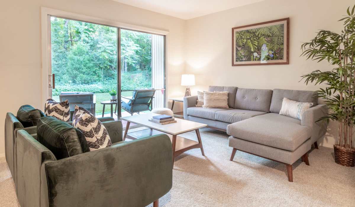 Living room with modern furniture at Willow Oaks Apartments in Richmond, Virginia