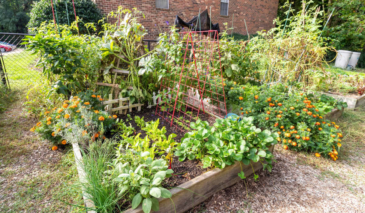 resident garden at Willow Oaks Apartments in Richmond, Virginia