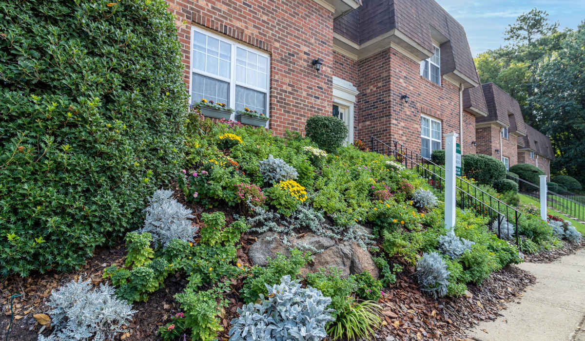 pretty flowers at Willow Oaks Apartments in Richmond, Virginia