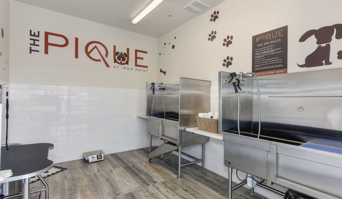 Pet spa at The Pique in Folsom, California