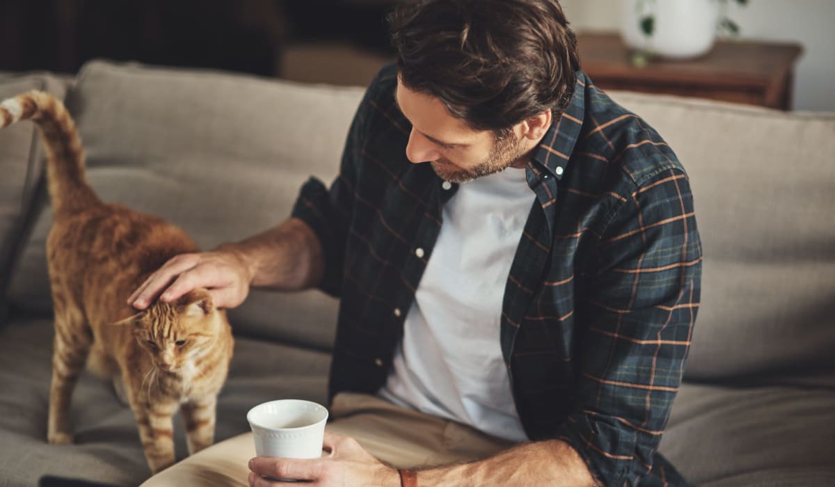 Pet-friendly at The Guthrie North Gulch in Nashville, Tennessee