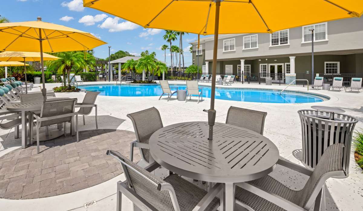 Luxury swimming pool with poolside seating at Pointe Parc at Avalon in Orlando, Florida