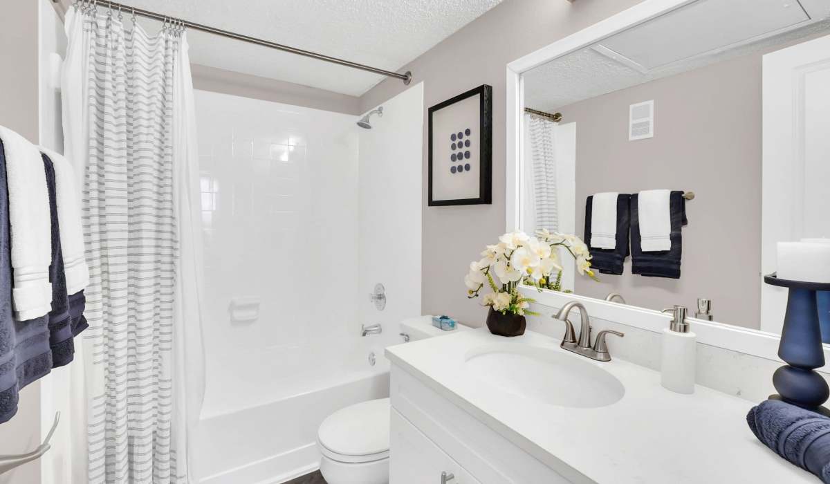 Full bathroom in apartment at 4800 Westshore in Tampa, Florida