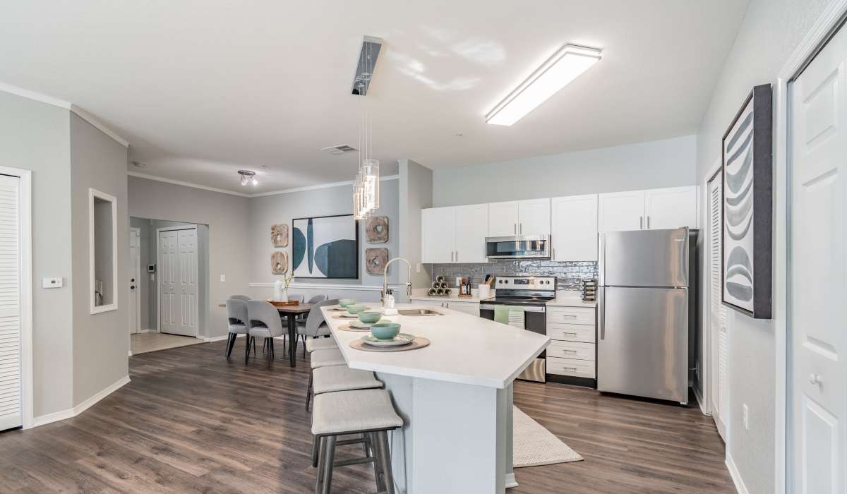 Modern apartment kitchen with counter seating and granite counters at The Parq at Cross Creek in Tampa, Florida