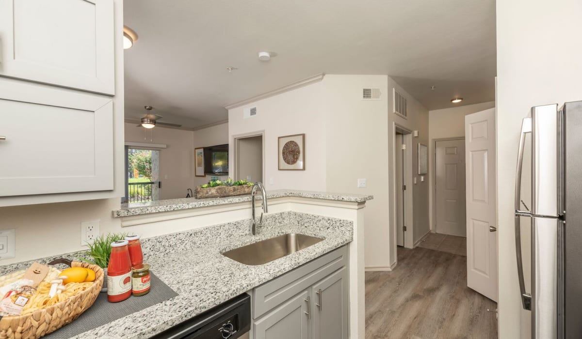 view from kitchen at Sheffield Square in Grand Prairie, Texas