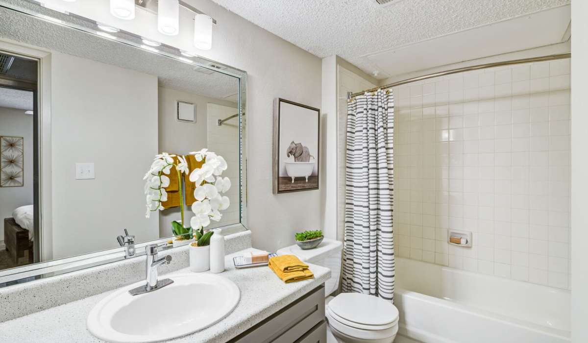 bathroom at Belmont Estates in Arlington, Texas