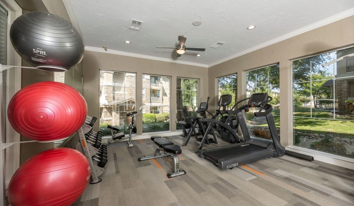exercise equipment at Woodbridge Villas Apartments in Sachse, Texas