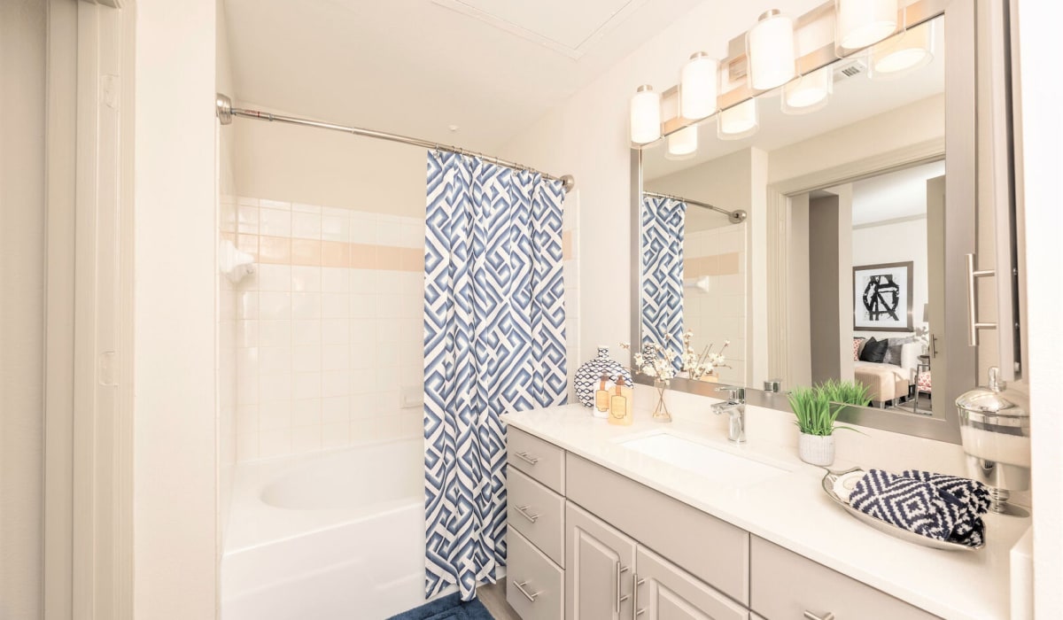 Bathroom at Woodbridge Villas Apartments in Sachse, Texas