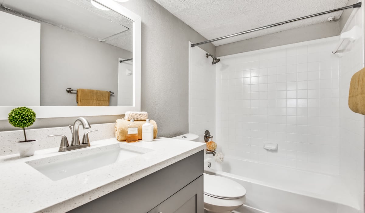 Bathroom with nice shower at Birch Apartment Homes in Dallas, Texas