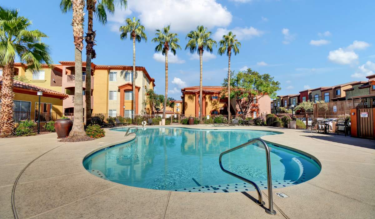 Resident pool with palm trees at La Serena at Toscana in Phoenix, Arizona