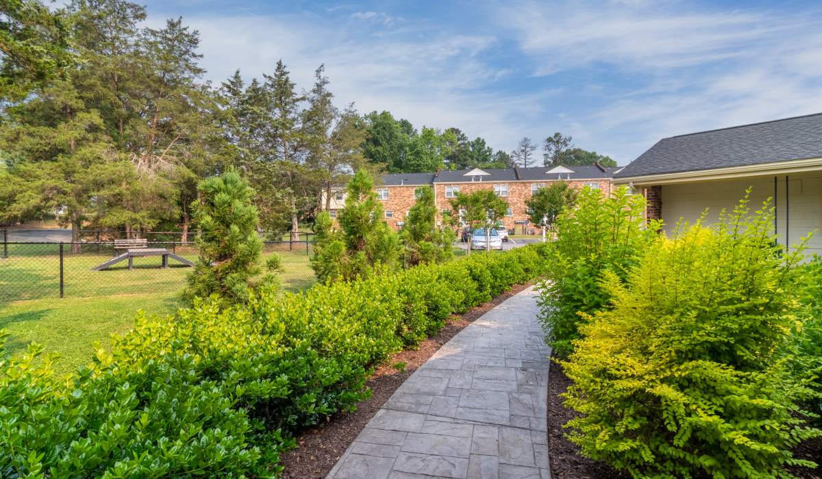 path with bushes at Landmark at Tuckahoe in Henrico, Virginia