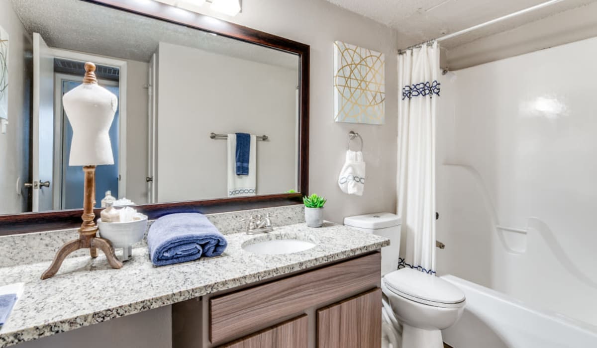 Bathroom at  Emmitt Luxury Apartments in Haltom City, Texas