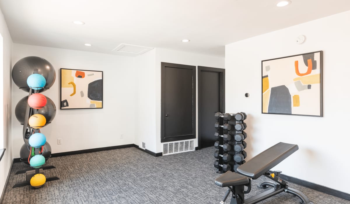 Free weights in fitness center at  Emmitt Luxury Apartments in Haltom City, Texas