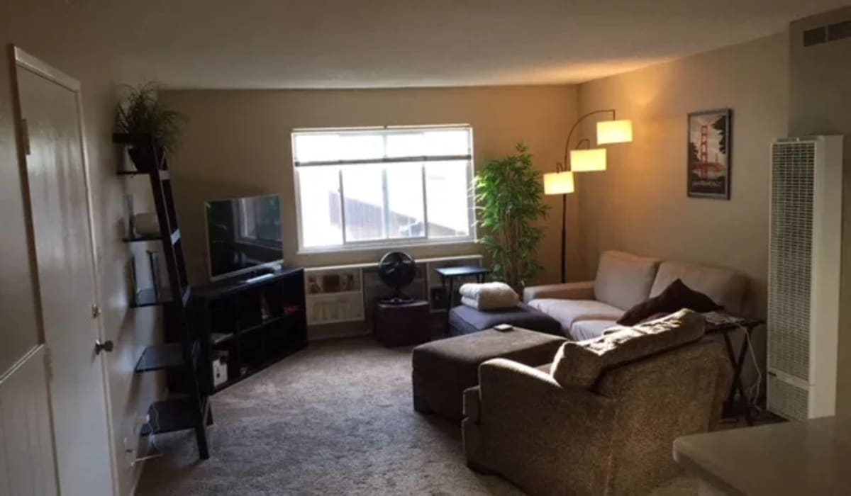 Living room at 1221 Vallejo Apartments in Novato, California