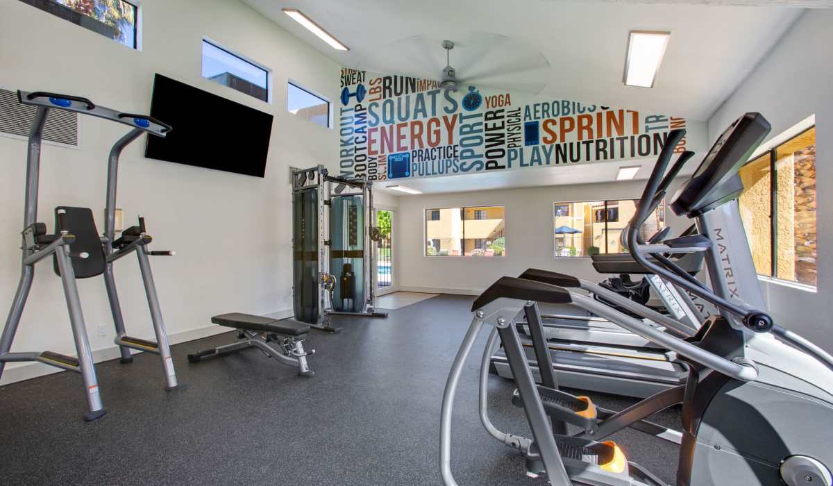 Fully-equipped gym with treadmills, flat-screen TVs, and ceiling fans at Alterra in Tucson, Arizona