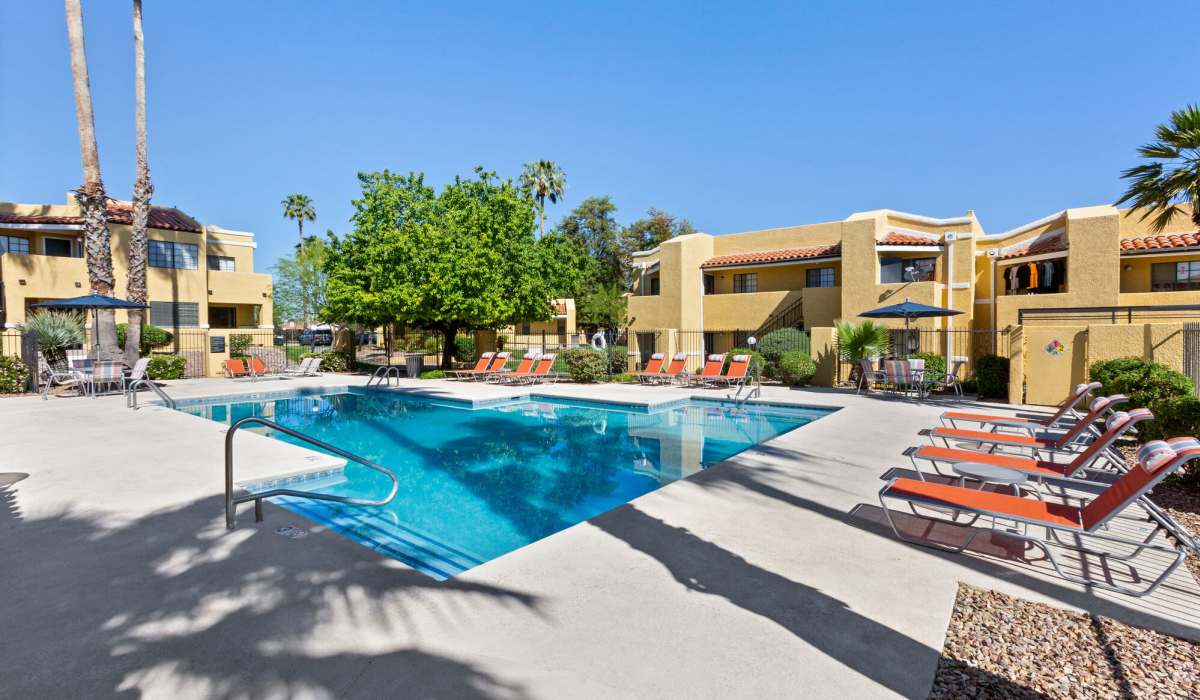 Sparkling swimming pool with sun deck atAlterra in Tucson, Arizona