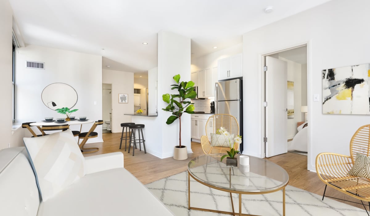 Modern apartment living room with large area rug and glass coffee table at One India Street Apartments in Boston, Massachusetts