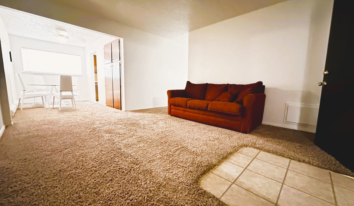Couch in living room of Regency Apartments in Lawton, Oklahoma