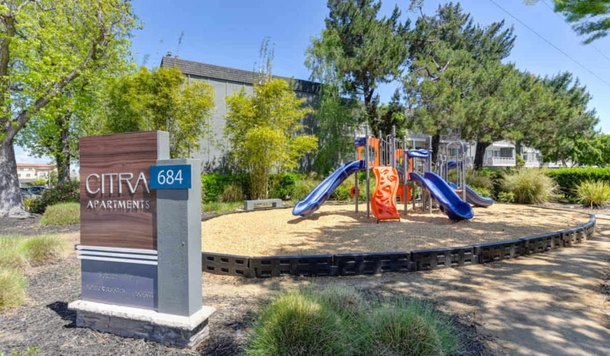 Playground at Citra in Sunnyvale, California