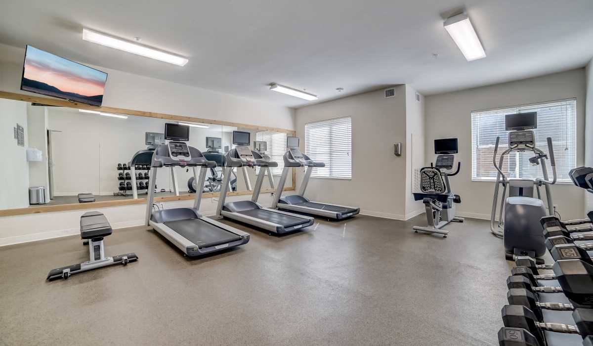 Fitness center with cardio equipment Simplicity at the Rim in San Antonio, Texas