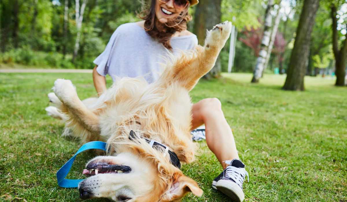 Resident with happy dog at Three Chopt West Apartments in Henrico, Virginia