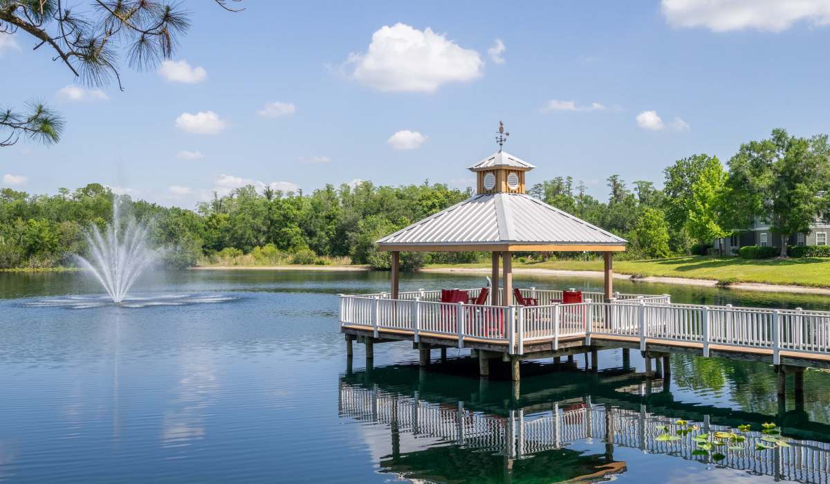 Gazebo with a nature scenery at Sole at Citrus Park in Tampa, Florida