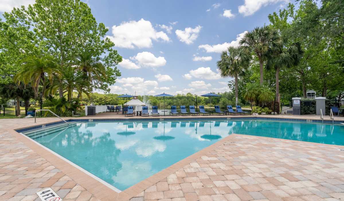 Wide outdoor pool at Sole at Citrus Park in Tampa, Florida
