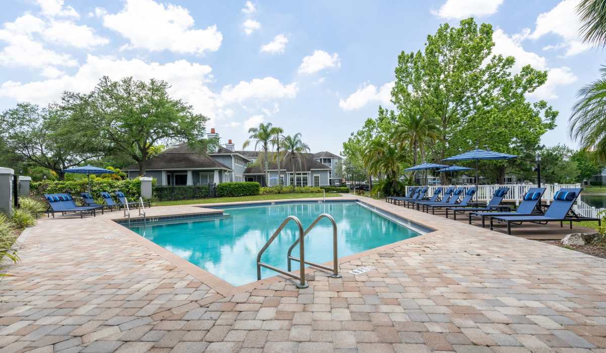 Outdoor pool with cottage and seats at Sole at Citrus Park in Tampa, Florida