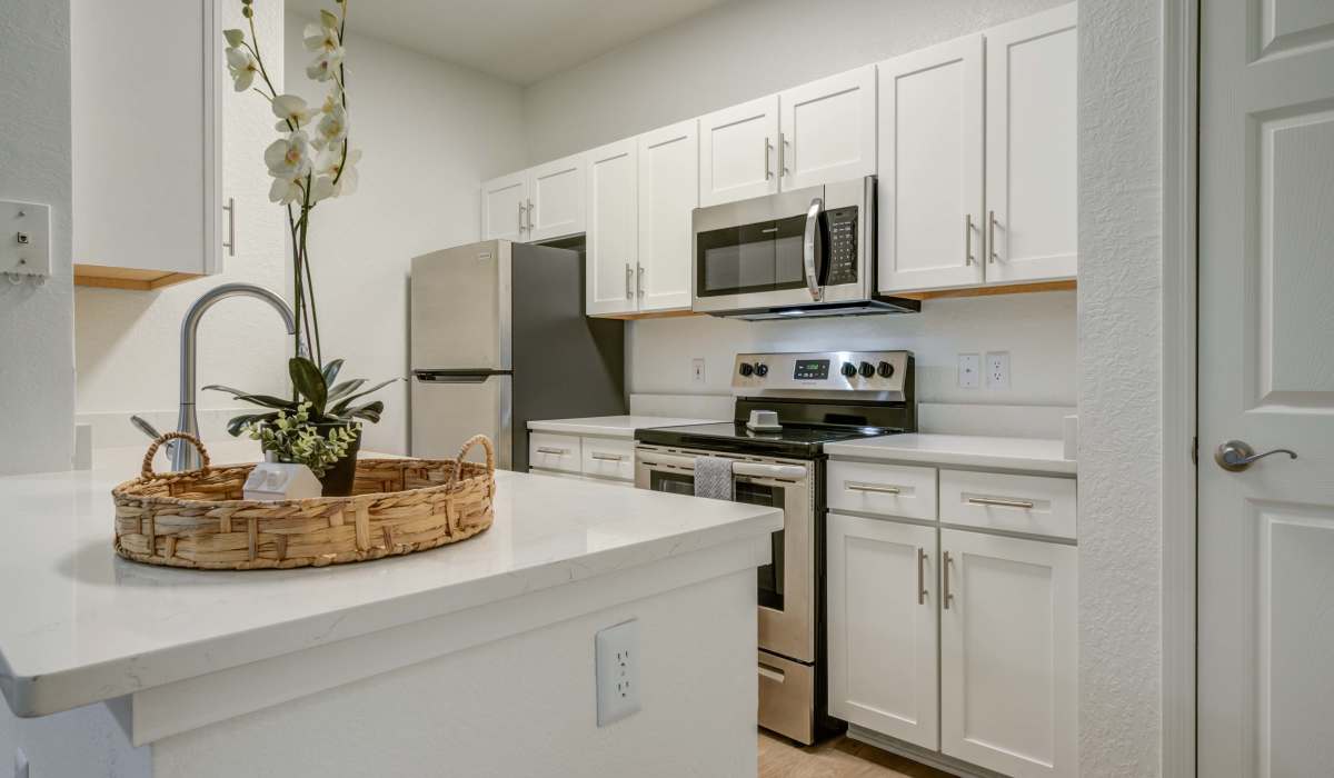 Kitchen with marble countertop at Sole at Citrus Park in Tampa, Florida