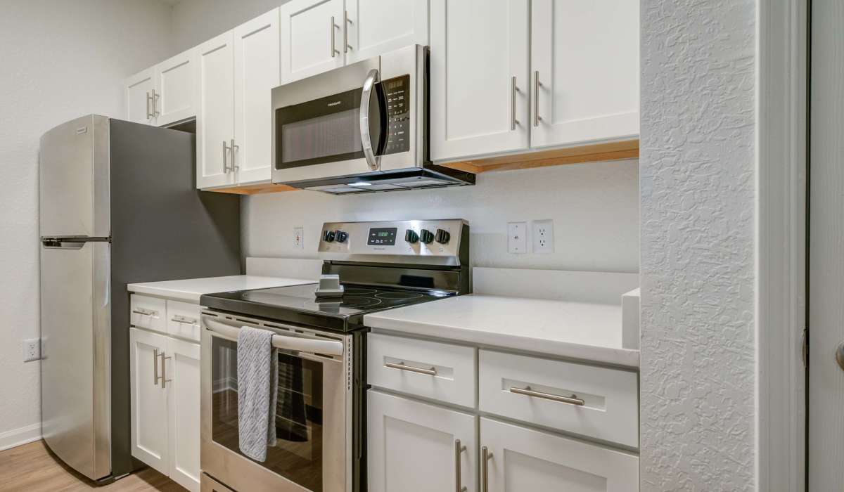 Aesthetic kitchen with modern equipment at Sole at Citrus Park in Tampa, Florida