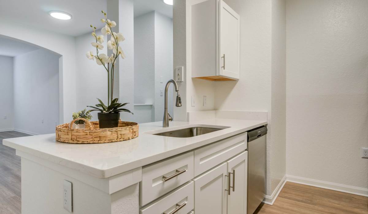 Kitchen countertop at Sole at Citrus Park in Tampa, Florida