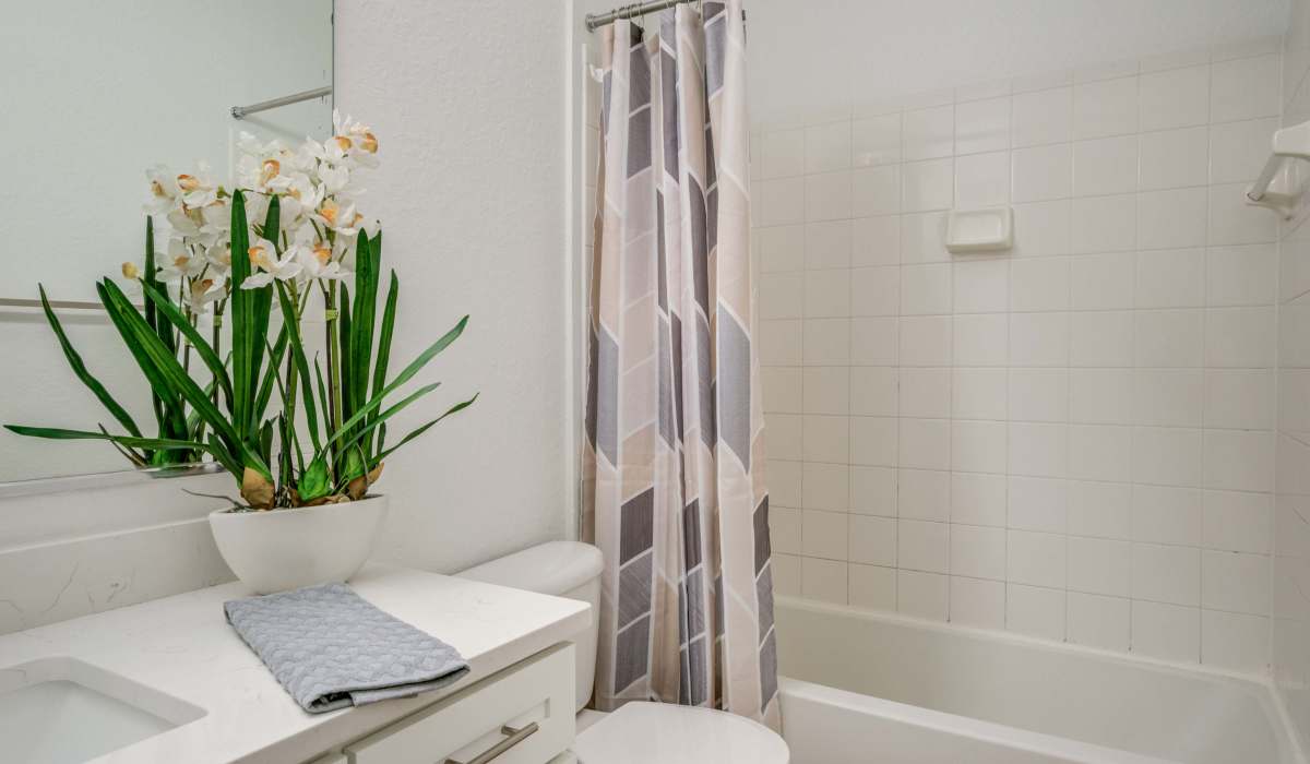 Bathroom with a bath tub at Sole at Citrus Park in Tampa, Florida