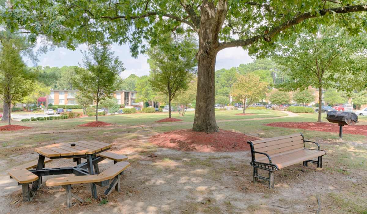 park area with tables at Three Chopt West Apartments in Henrico, Virginia