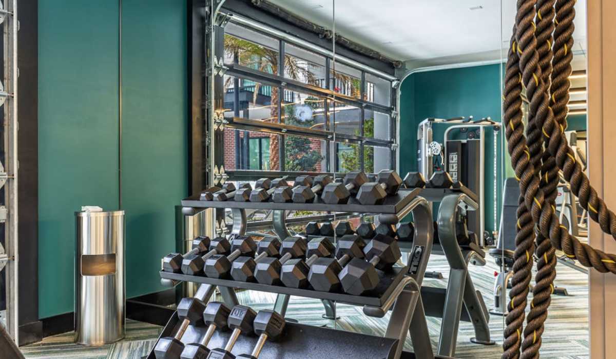 Workout area at Jade at North Hyde Park in Tampa, Florida