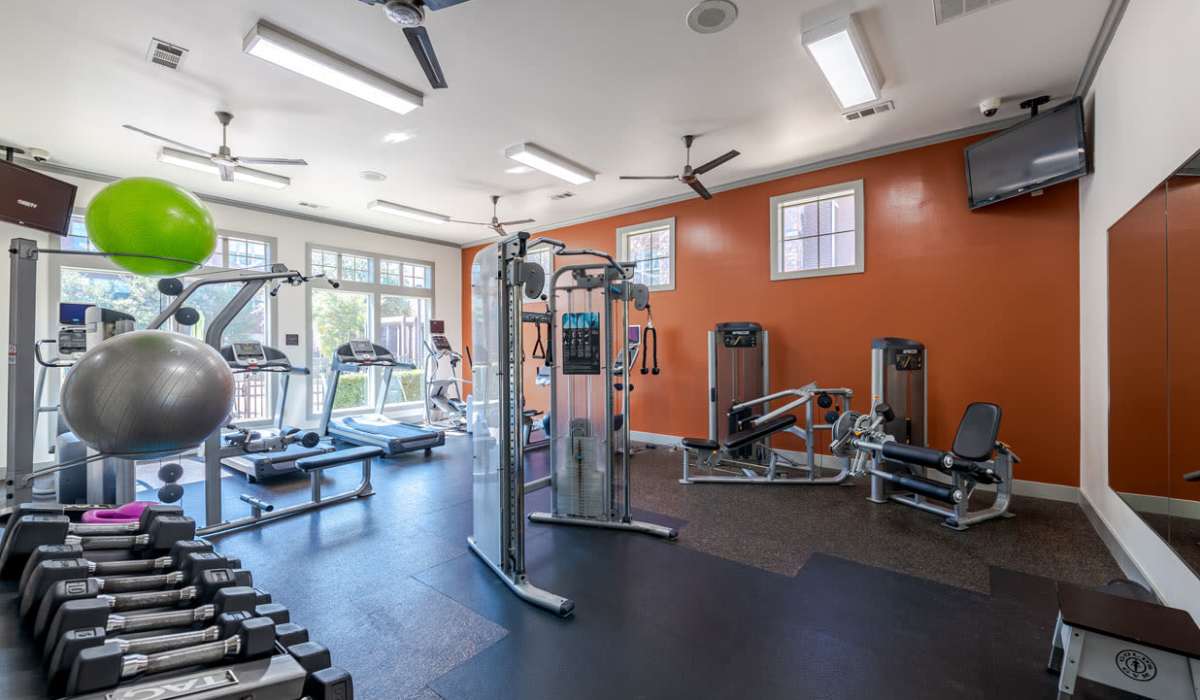 Fitness center with benches and dumbbell rack at Dayrise at Centreport in Fort Worth, Texas