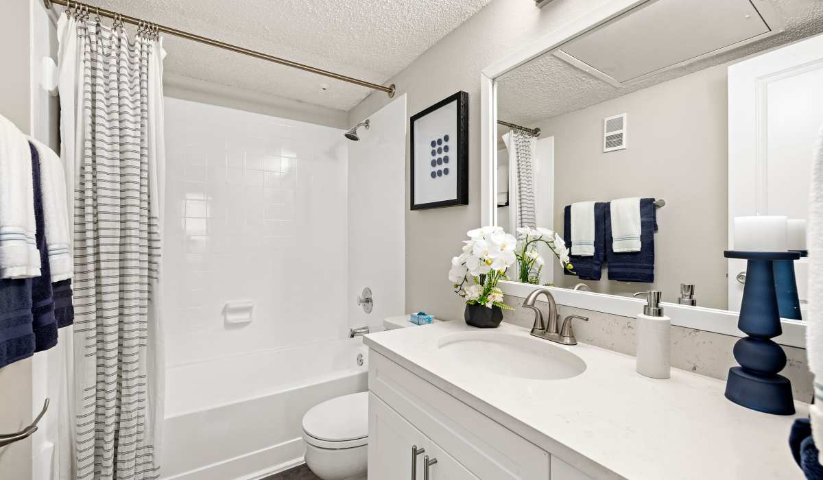 Full bathroom in apartment at 4800 Westshore in Tampa, Florida