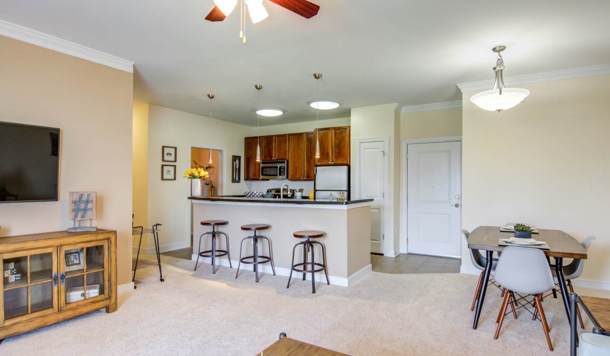 Apartment at The Carlton at Greenbrier, Chesapeake, Virginia