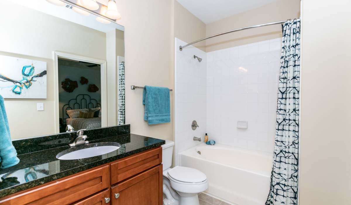 Bathroom with tub and vanity at The Reserve at Johns Creek Walk in Johns Creek, Georgia