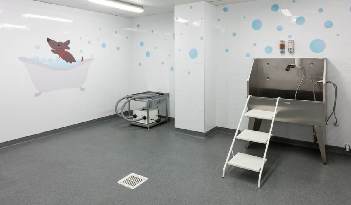 Upgraded paw spa at One City Block in Denver, Colorado