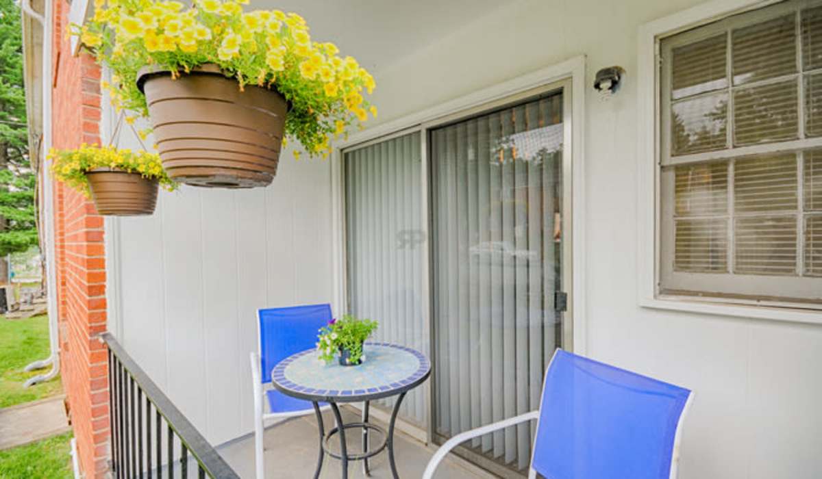 outdoor patio seating at Berkshire and Barter Court Apartments in Charlottesville, Virginia