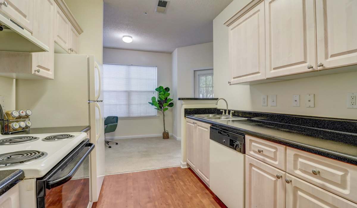 Modern kitchen appliances at Parkway Grand in Decatur, Georgia