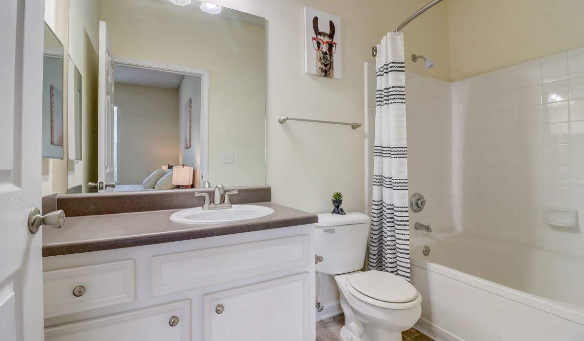 large bathroom mirrors at Parkway Grand in Decatur, Georgia