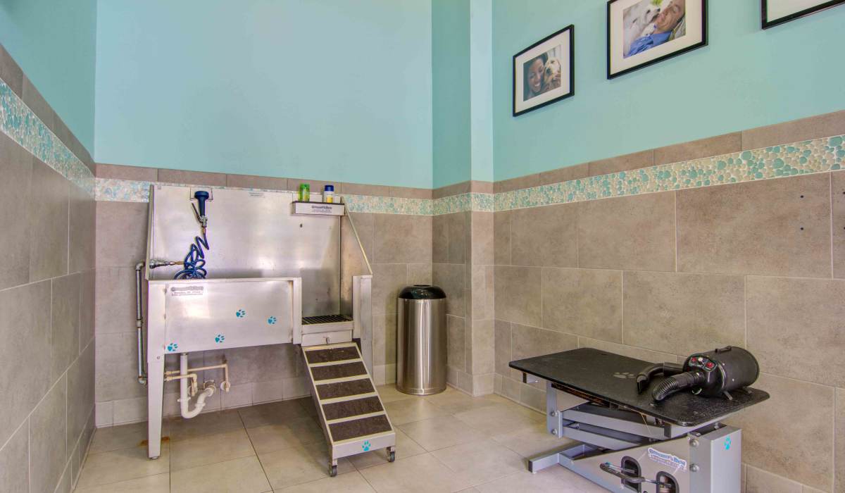 Pet Spa and Washing Station at Twenty25 Barrett in Kennesaw, Georgia