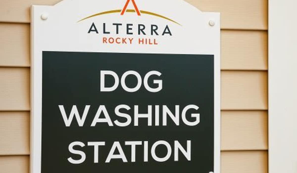 Dog washing station at Alterra | Rocky Hill in Rocky Hill, Connecticut